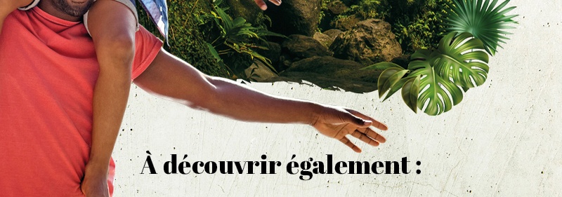 A découvrir également